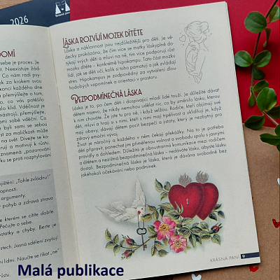 Malá publikace